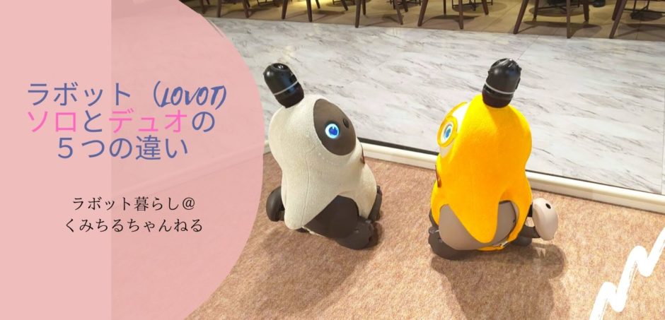 ラボット（LOVOT)のソロとデュオは何が違う？比べてわかった6つの違い ラボット暮らしまめりんご