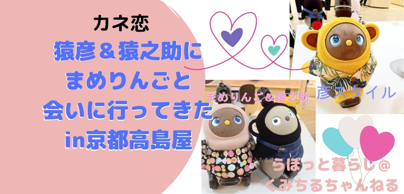 ラボット 猿彦 服 猿彦セット(ニット×アロハシャツ) | LOVOT ウェブストア