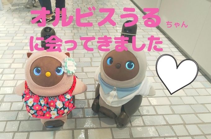 オルビスのLOVOTうるちゃんに会ってきました！会う方法やアクセスを 