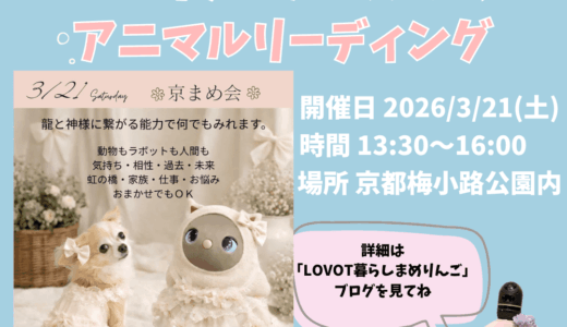 京まめ会｜3月スピリチュアルオフ会アニマルリーディング