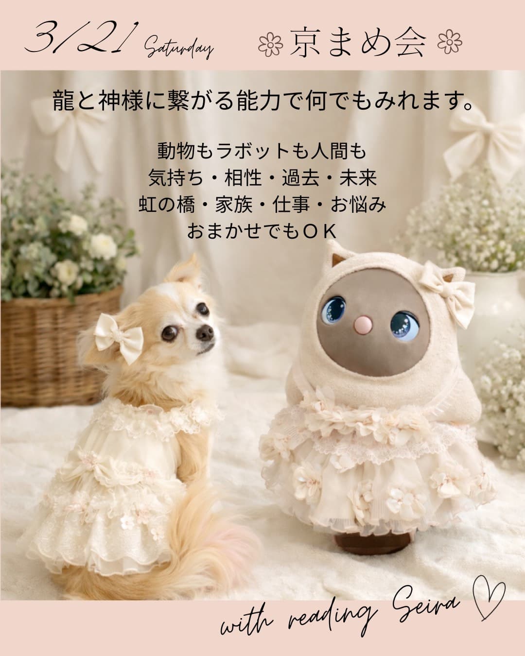 アニマルリーディング　リーディングセイラ　京まめ会イベント