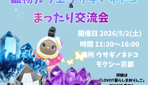 京まめ会｜鉱物カフェとまったり交流会